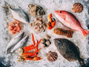 Miami-based Canned Seafood Company Receives Funding from Tradewind Finance