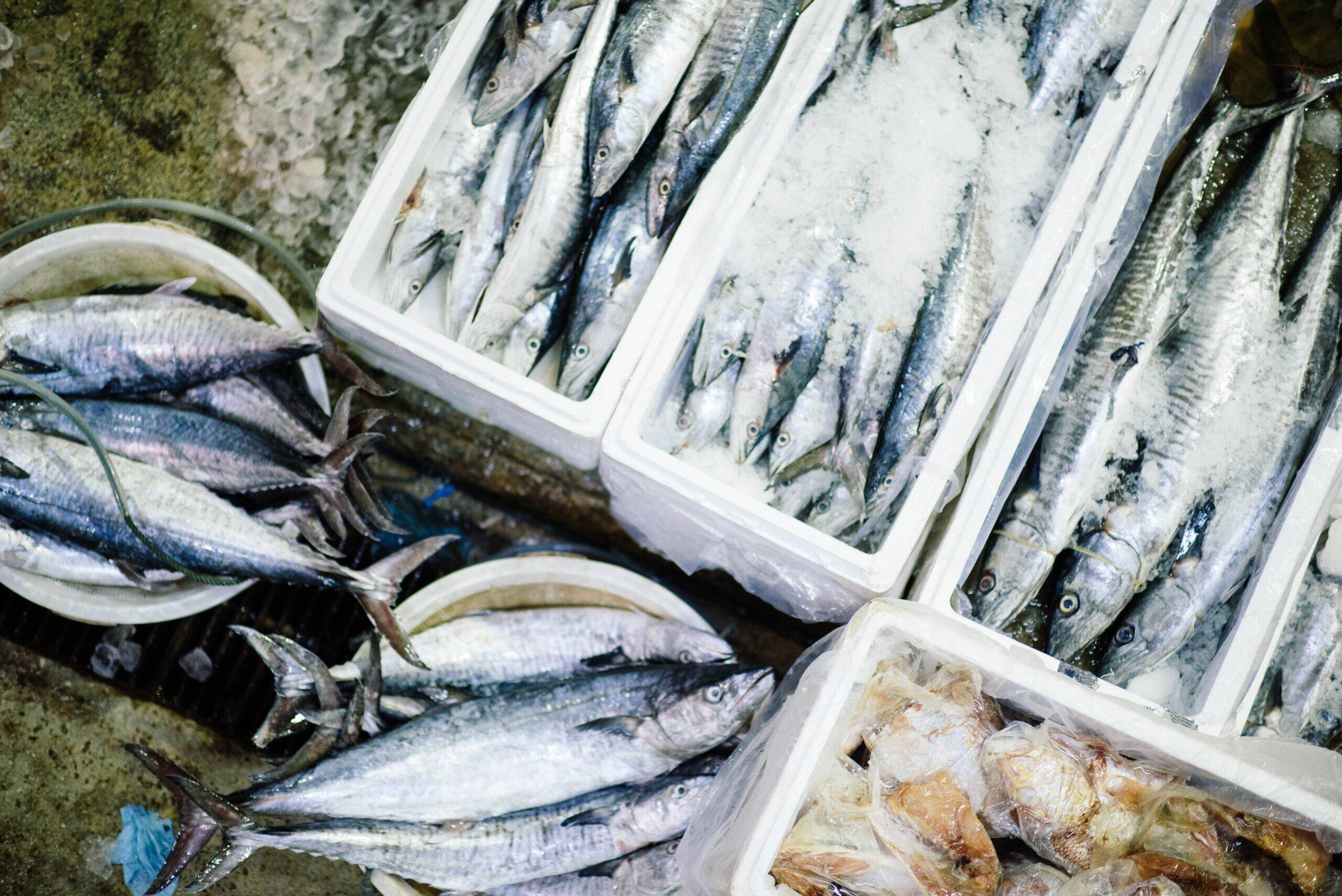 Dubai high-end Seafood Company uses Tradewind Finance’s Domestic Factoring Facility